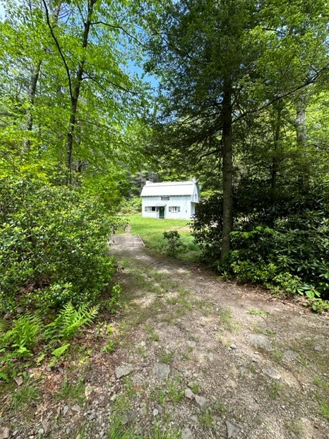 Tbd Blue Springs Road Troutdale, VA 24378 - Photo 42 of 52 Gallery Image 42