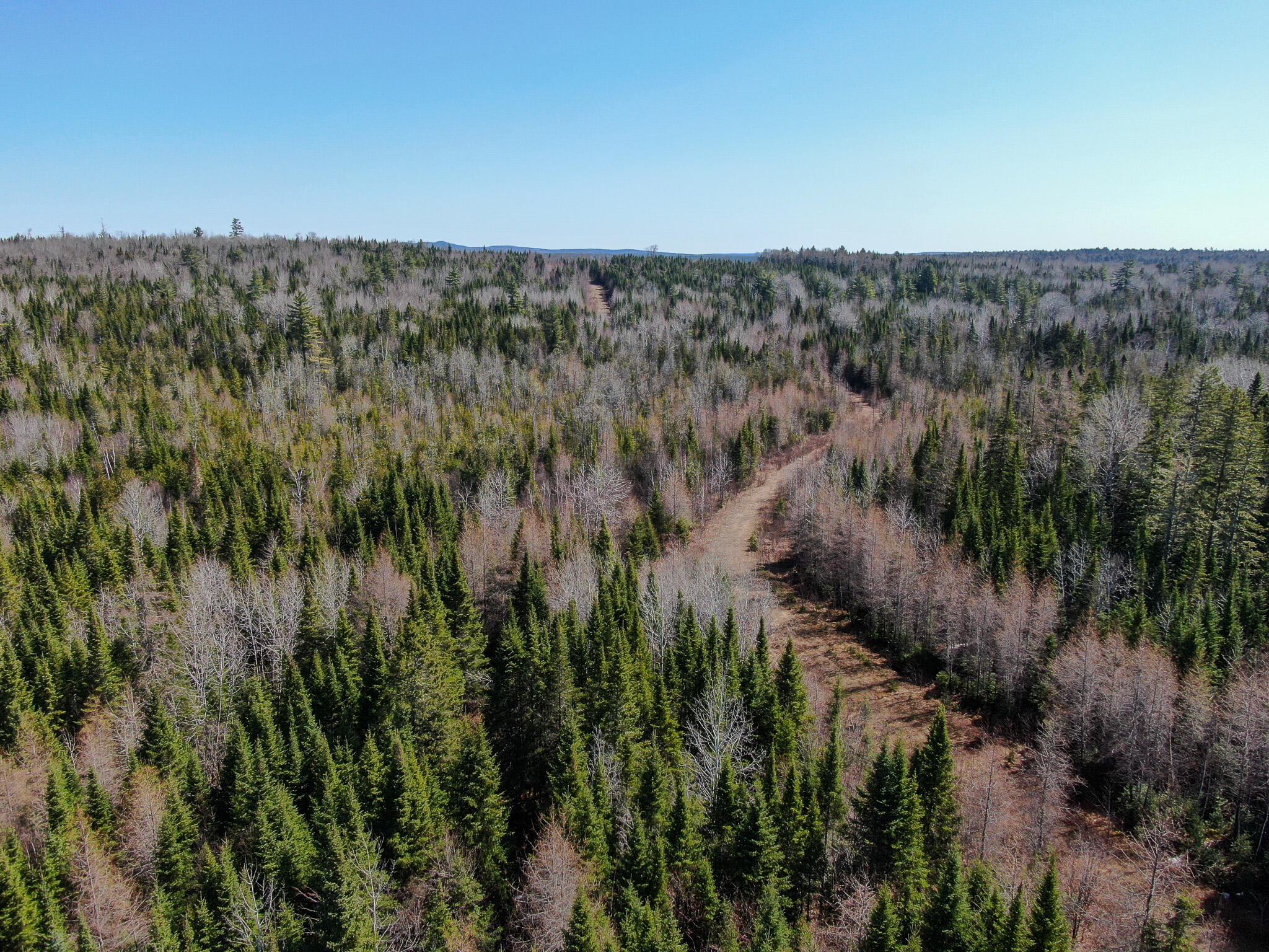 144 Black Water Road Ashland, ME 04732 - Photo 4 of 35 DJI_0216