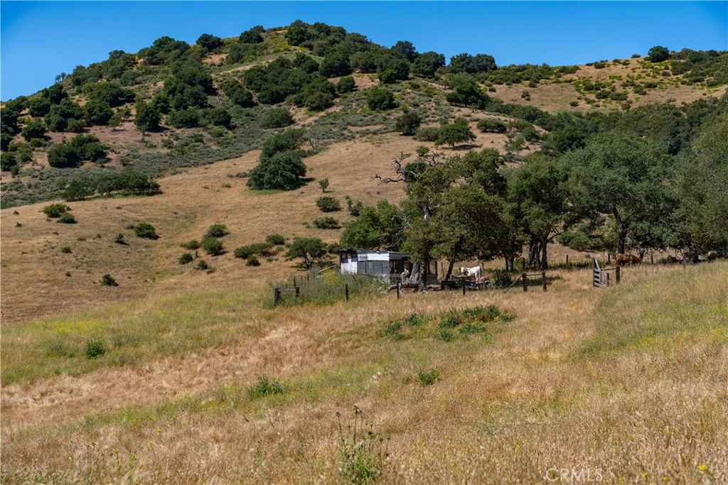 48400 Reliz Canyon Road Greenfield, CA 93927 - Photo 11 of 43