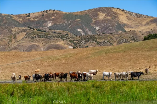 $10,000,000 | 48400 Reliz Canyon Road, Greenfield, CA 93927