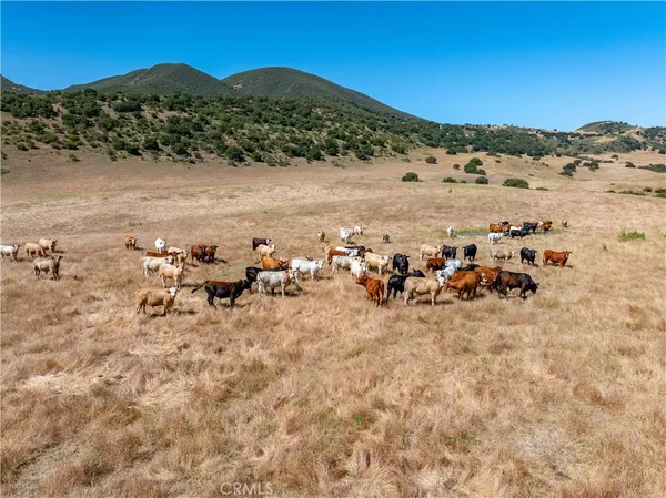$10,000,000 | 48400 Reliz Canyon Road, Greenfield, CA 93927