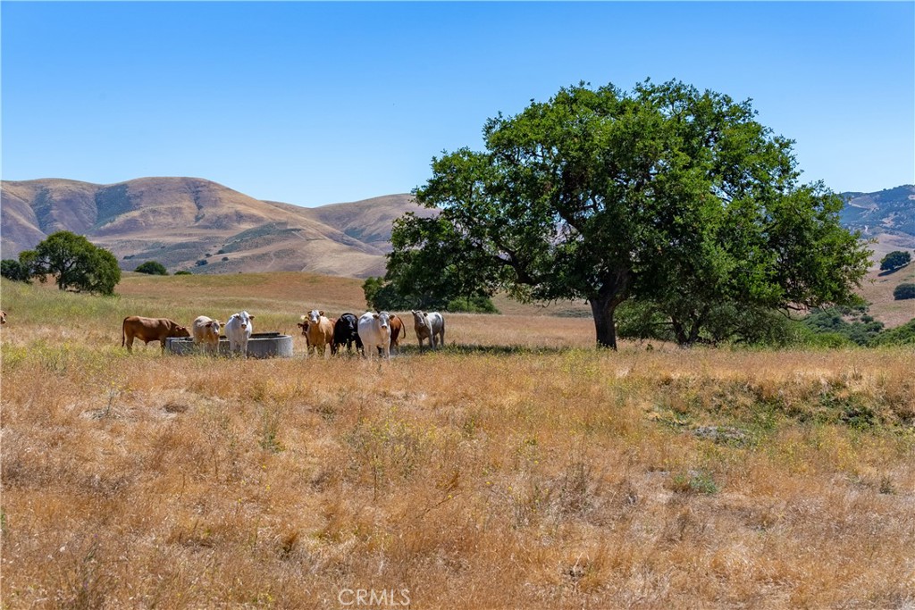 48400 Reliz Canyon Road Greenfield, CA 93927 - Photo 10 of 43
