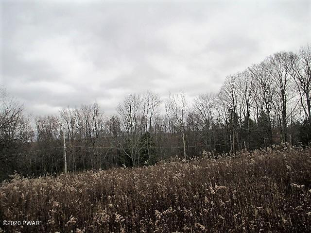 276 Goose Pond Road Lake Ariel, PA 18436 - Photo 10 of 11