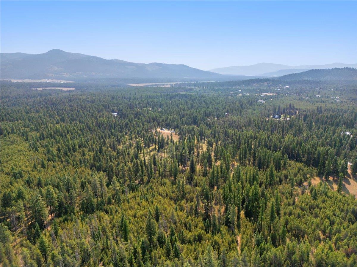 311 Bigfoot Road Newport, WA 99156 - Photo 7 of 22