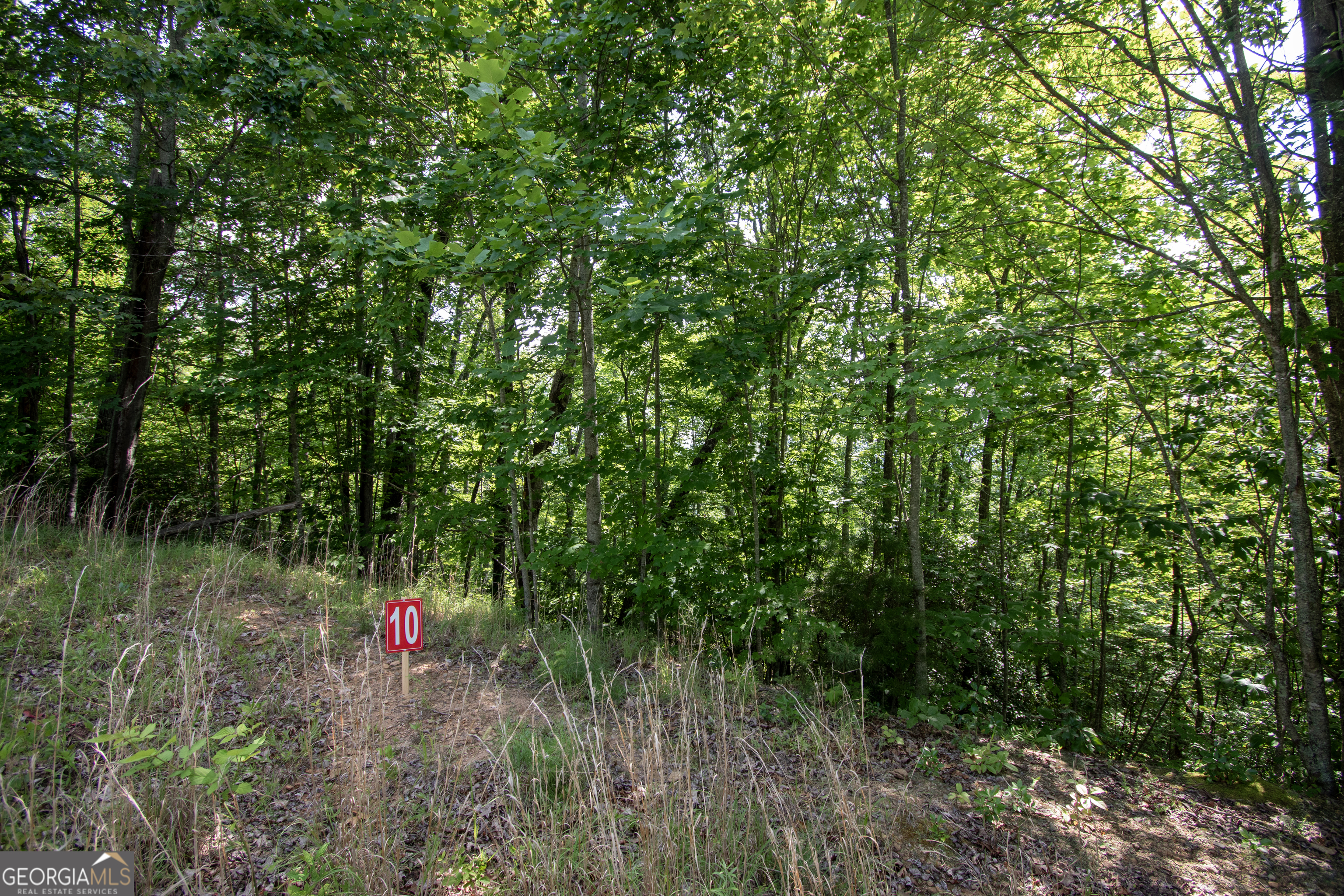 850 Bluff Road Marble, NC 28905 - Photo 17 of 31 Gallery Image 17