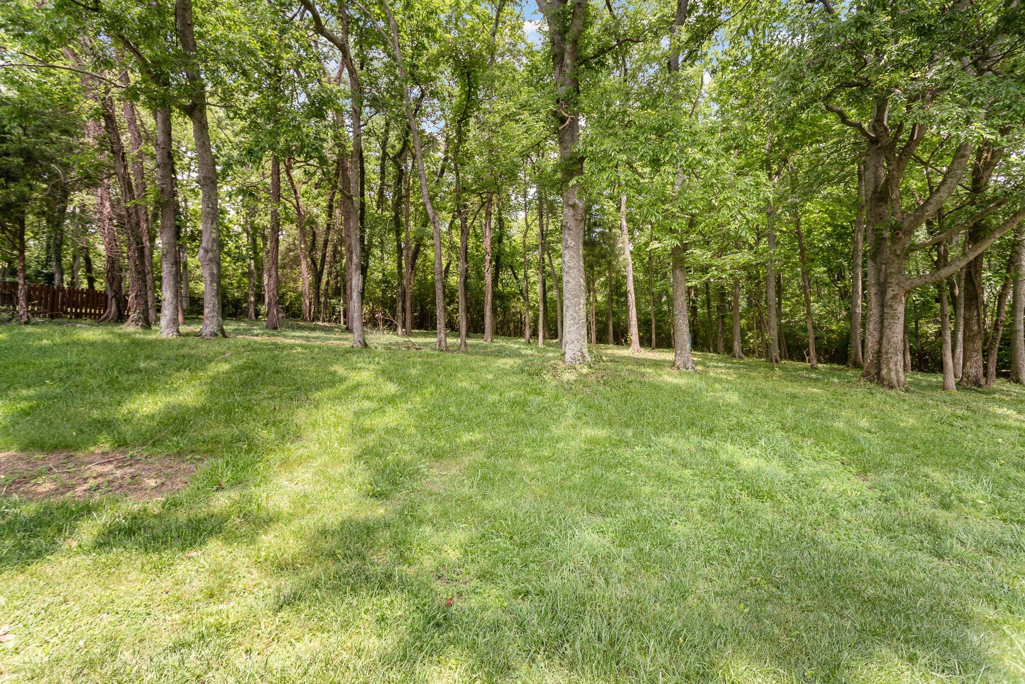 5726 Knob Road Nashville, TN 37209 - Photo 26 of 29 Gorgeous backyard with mature trees and so much privacy!