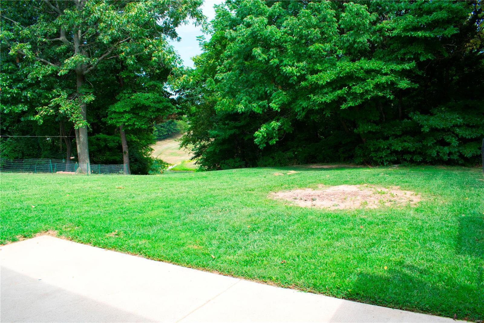 129 East Hunters Ridge Valmeyer, IL 62295 - Photo 50 of 51