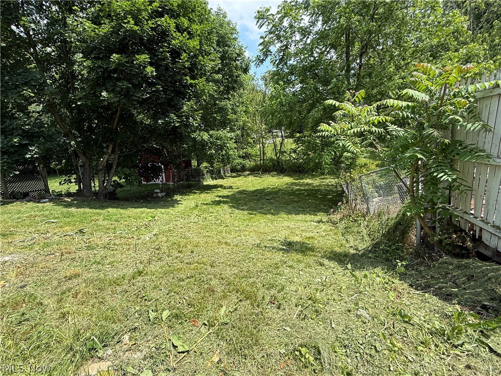 3443 Sheridan Road Youngstown, OH 44502 - Photo 22 of 24 Expansive grassy area featuring mature trees providing ample shade