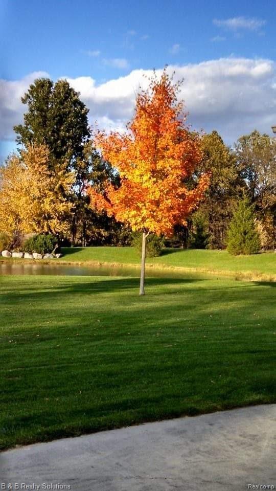 2457 Dodds Road North Branch, MI 48461 - Photo 69 of 71 facebook_1582162087504.jpg