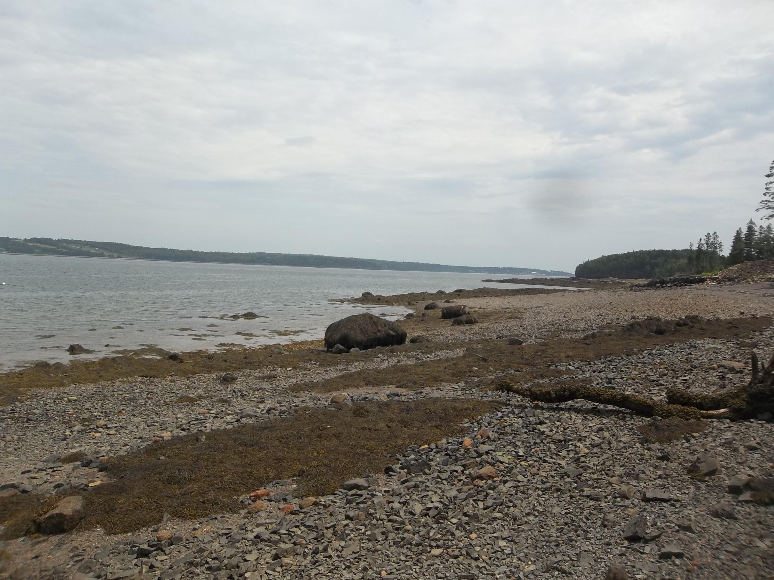 10 Dochet Lane Robbinston, ME 04671 - Photo 28 of 50 100_2300