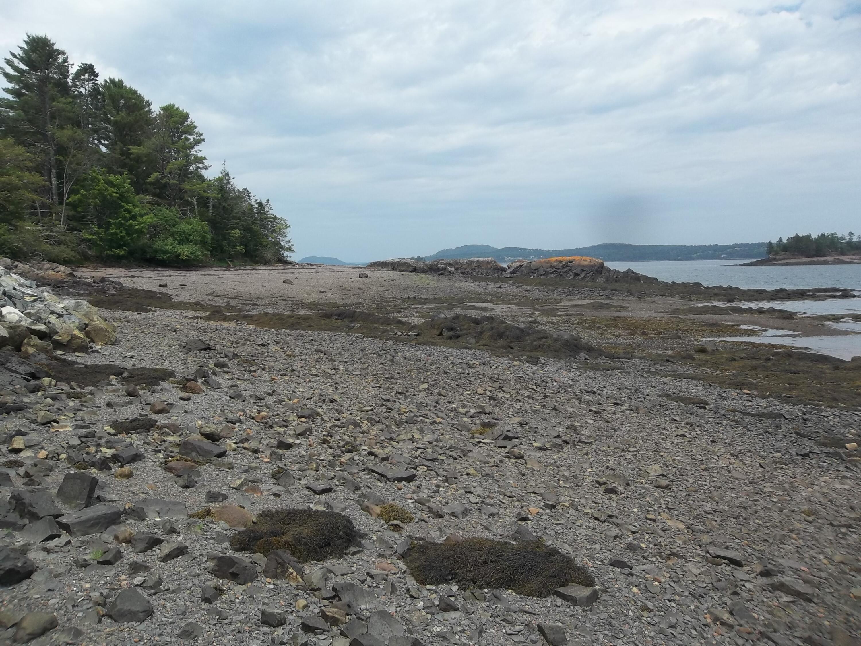 10 Dochet Lane Robbinston, ME 04671 - Photo 29 of 50 100_2301