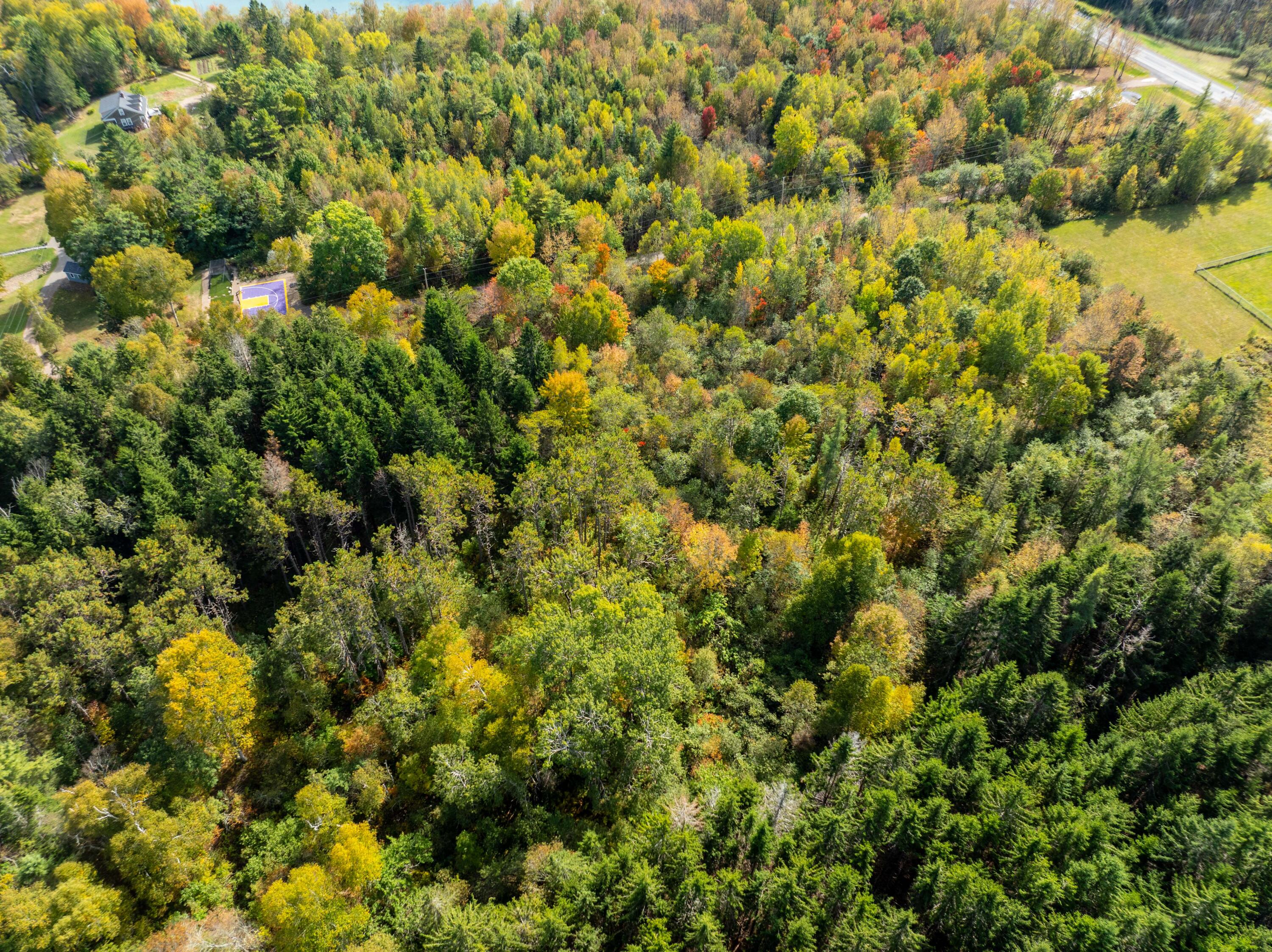 10 Dochet Lane Robbinston, ME 04671 - Photo 38 of 50 10 & 12 Dochet Lane, Robbinston (8 of 43