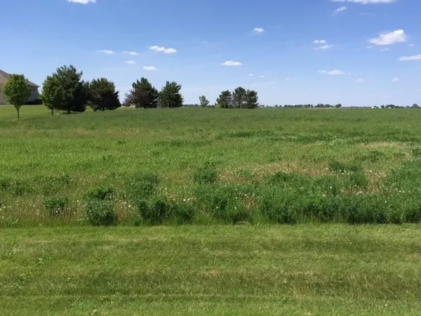a view of a field of grass and trees