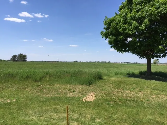 a view of lake with green field