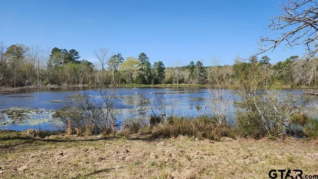 a view of lake with mountain