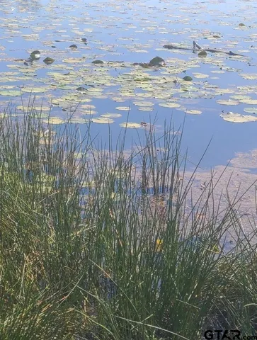 a view of a lake view