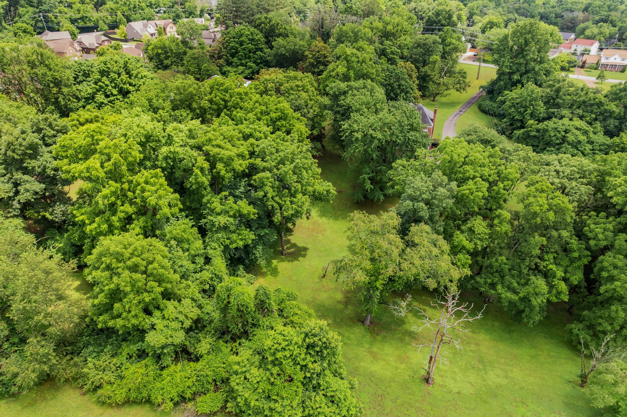 641 Old Lebanon Dirt Road Hermitage, TN 37076 - Photo 49 of 58