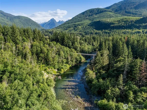 a view of a forest with a mountain