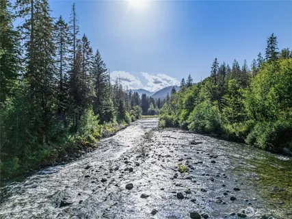 a view of a yard with plants and a trees