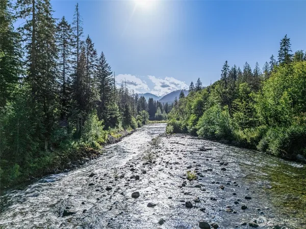 a view of a yard with plants and a trees