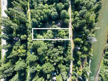 a view of a garden with a tree