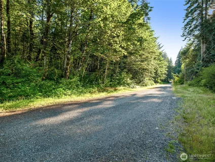 a view of a yard with a trees