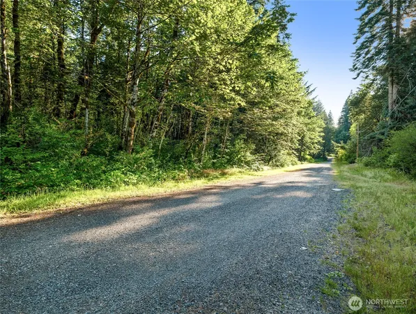 a view of a yard with a trees