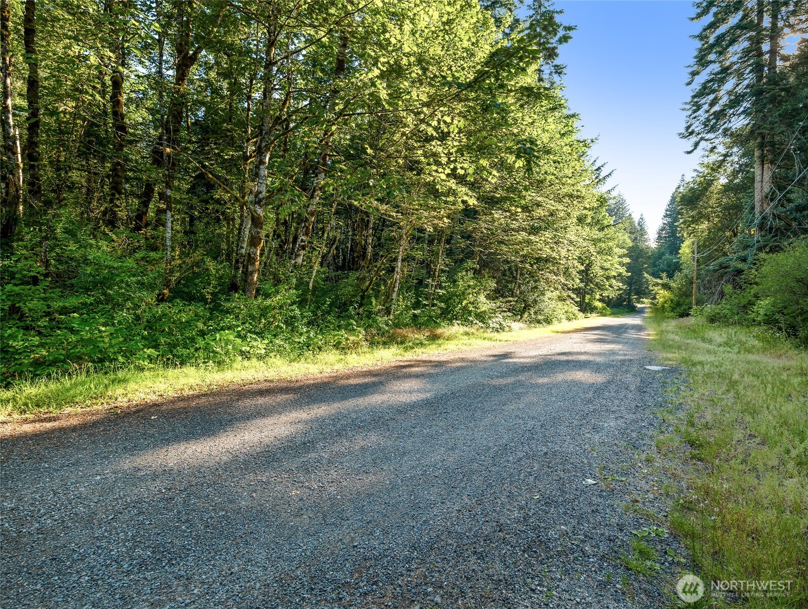 76011 Northeast 123rd Street Skykomish, WA 98288 - Photo 9 of 29 a view of beach and small yard