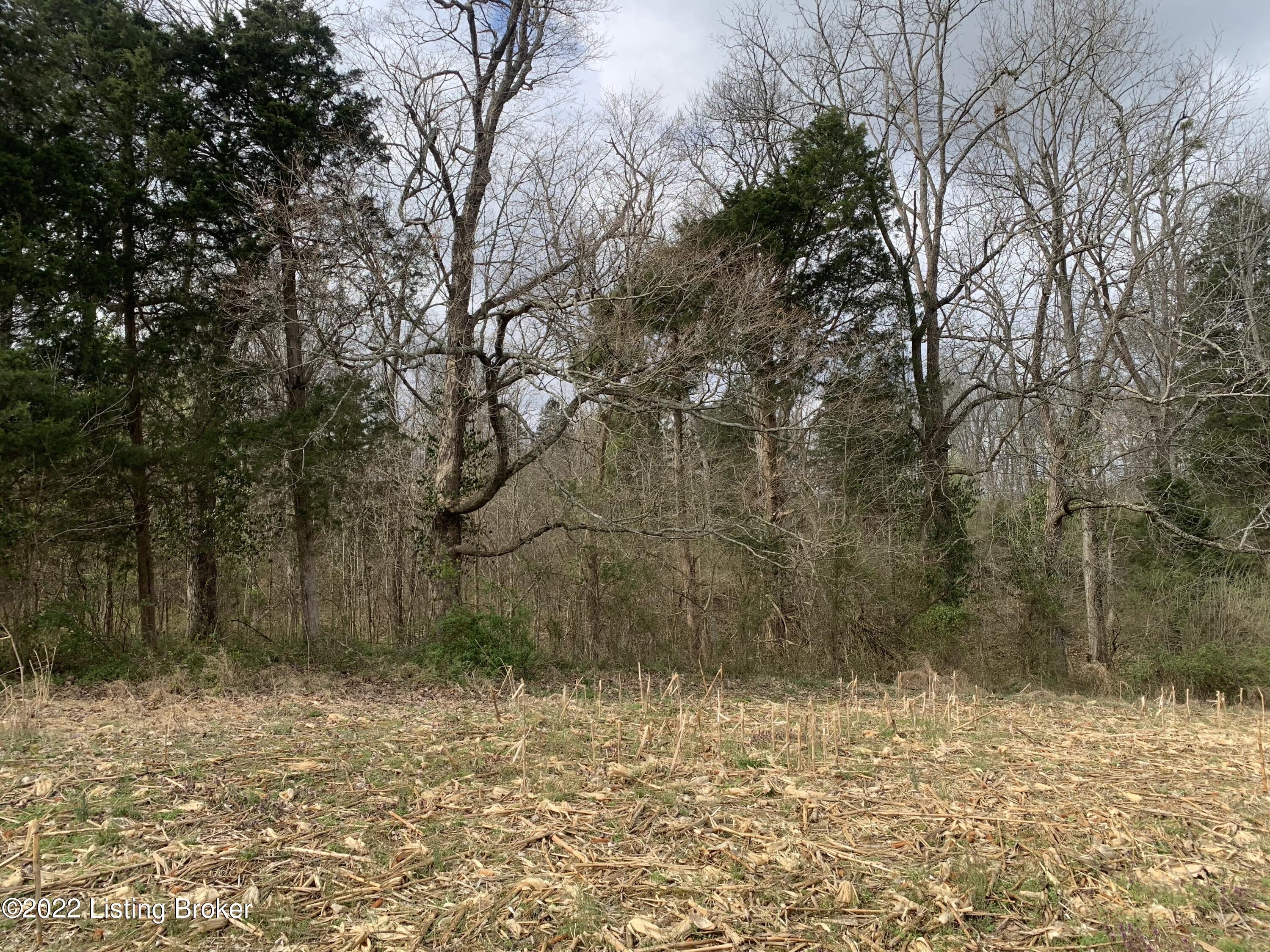 Tract#6 Samuels Road Bardstown, KY 40004 - Photo 9 of 10 IMG_5579
