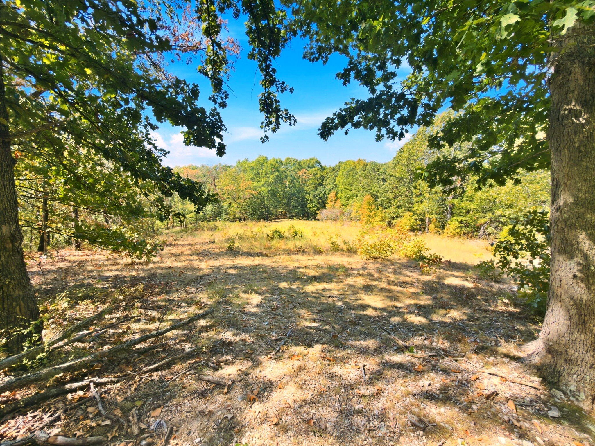 3723 Weaver Road Grovespring, MO 65662 - Photo 29 of 79 India Visser 3723 Weaver (34)