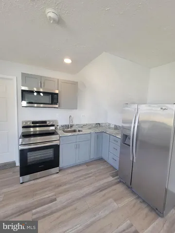a view of a backyard with large trees