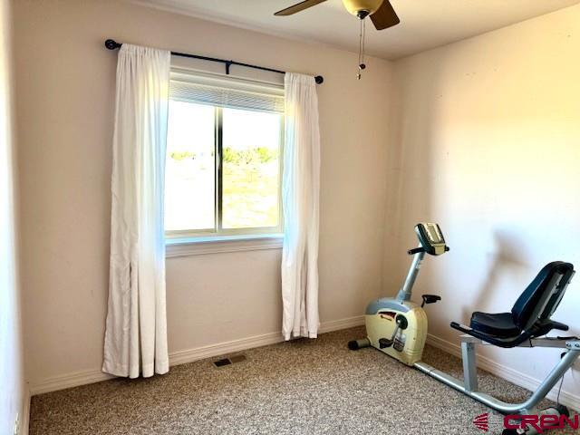 22989 Rd G.5 Cortez, CO 81321 - Photo 21 of 28