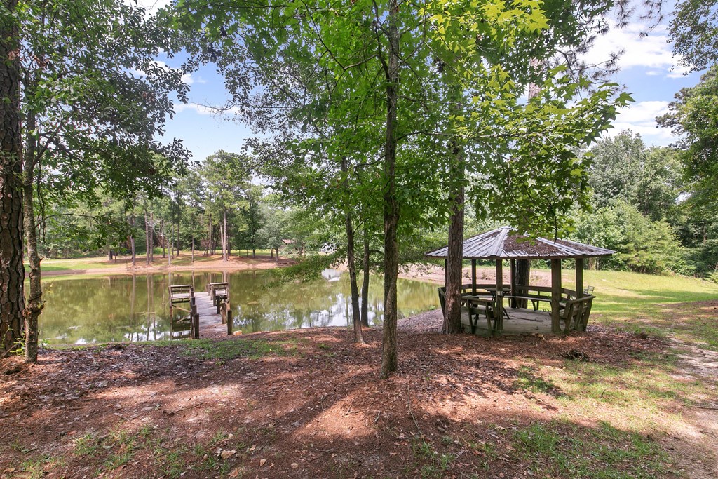 6850 North Co Road Columbia, AL 36319 - Photo 6 of 81