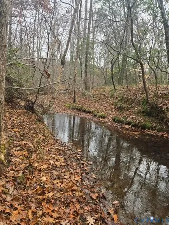 a view of a yard with trees