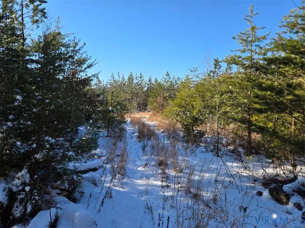 $441,000 | 0 Tabscott Road, Kents Store, VA 23084