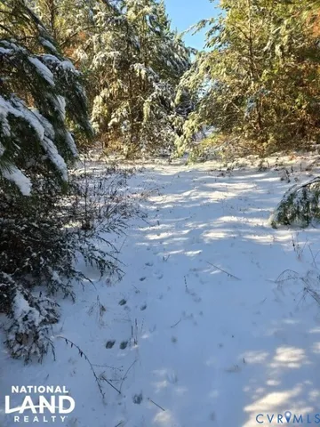 a view of backyard of house