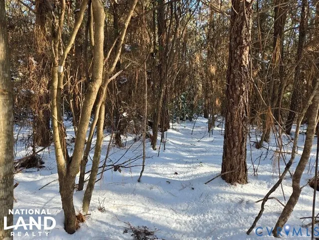 a view of a tree in the middle of a yard