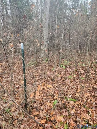 $441,000 | 0 Tabscott Road, Kents Store, VA 23084