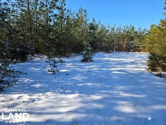 a view of a yard with a tree