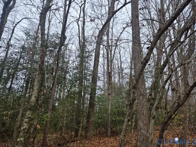 $441,000 | 0 Tabscott Road, Kents Store, VA 23084