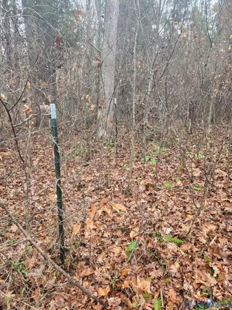 $441,000 | 0 Tabscott Road, Kents Store, VA 23084