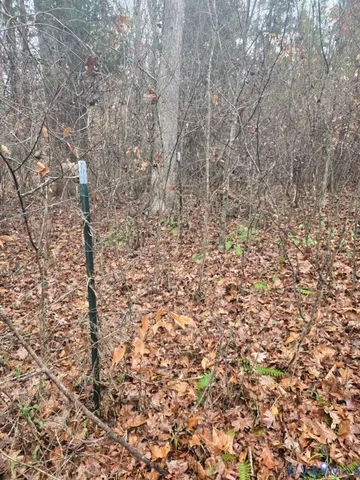 $441,000 | 0 Tabscott Road, Kents Store, VA 23084