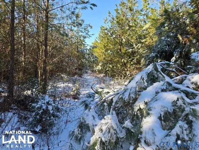 $441,000 | 0 Tabscott Road, Kents Store, VA 23084