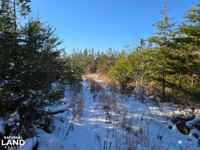 a view of a city with lots of trees