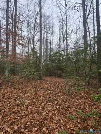 a big yard with lots of green space