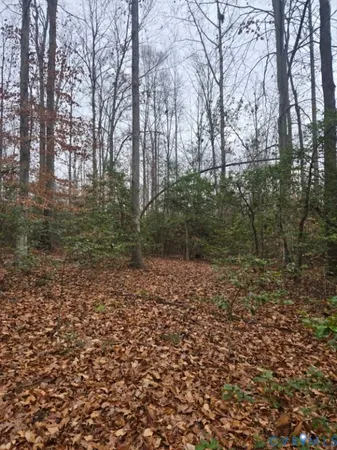 $441,000 | 0 Tabscott Road, Kents Store, VA 23084