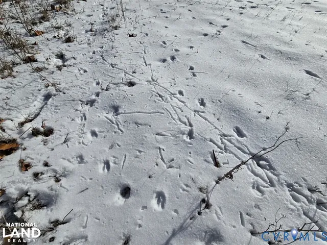 a view of a dry space