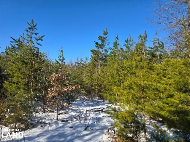 a view of a plants with wooden fence