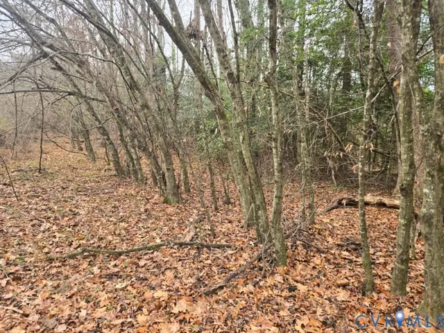 a view of a yard with wooden fence