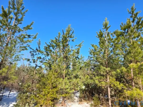 $441,000 | 0 Tabscott Road, Kents Store, VA 23084